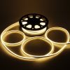 Double Side Light Neon Light Warm White