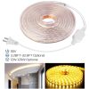 9.84ft/3m LED Strip Light 110V IP65 Waterproof 2500LM Dimmable Rope Light SMD 5050 6000K Cold White Warm