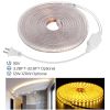 32.8ft/10m LED Strip Light 110V IP65 Waterproof 2500LM Dimmable Rope Light SMD 5050 6000K Cold White Warm