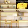 9.84ft/3m LED Strip Light 110V IP65 Waterproof 2500LM Dimmable Rope Light SMD 5050 6000K Cold White Warm