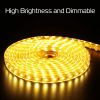 9.84ft/3m LED Strip Light 110V IP65 Waterproof 2500LM Dimmable Rope Light SMD 5050 6000K Cold White Warm
