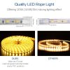 9.84ft/3m LED Strip Light 110V IP65 Waterproof 2500LM Dimmable Rope Light SMD 5050 6000K Cold White Warm
