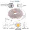 32.8ft/10m LED Strip Light 110V IP65 Waterproof 2500LM Dimmable Rope Light SMD 5050 6000K Cold White Warm