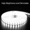 9.84ft/3m LED Strip Light 110V IP65 Waterproof 2500LM Dimmable Rope Light SMD 5050 6000K Cold White Warm
